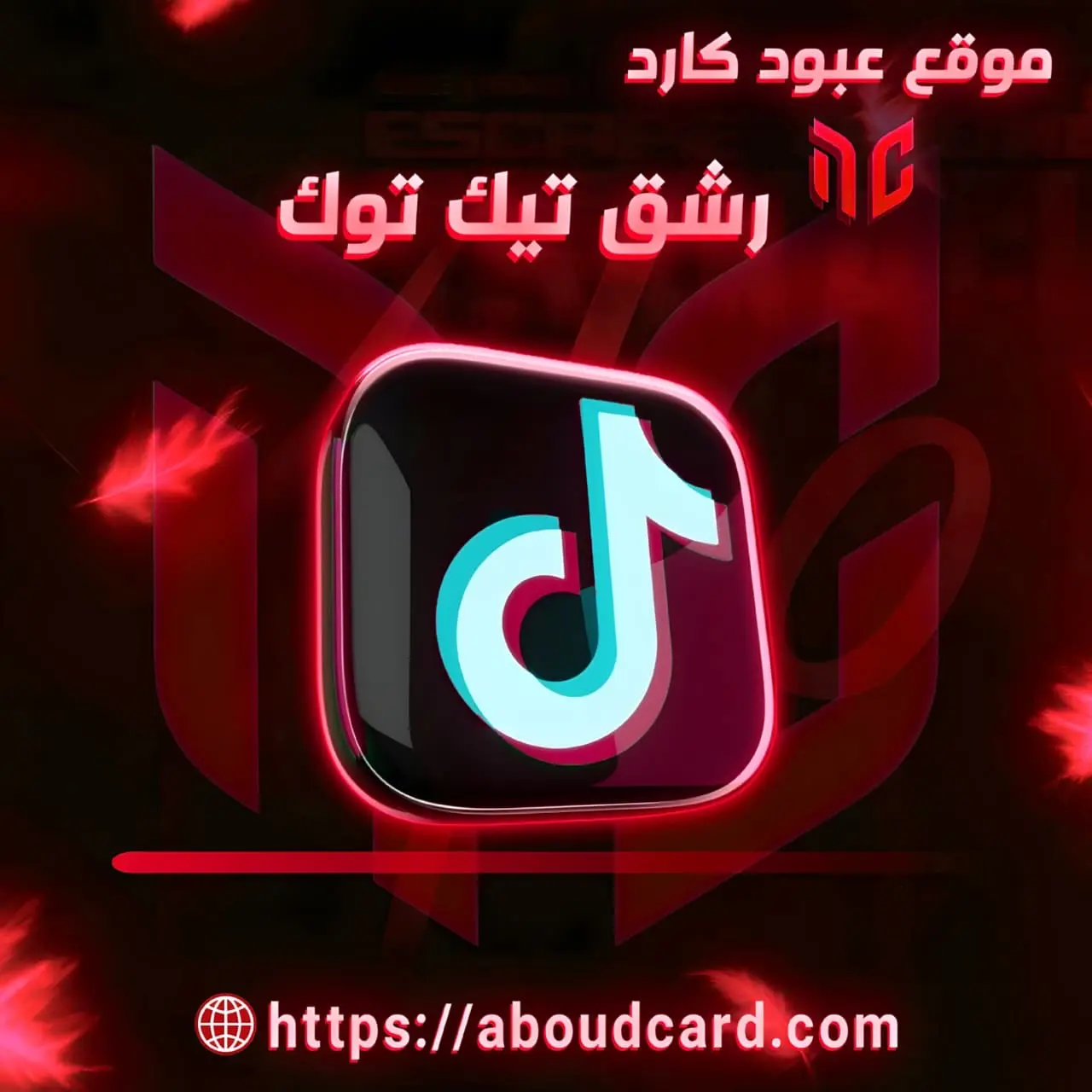 رشق تيك توك